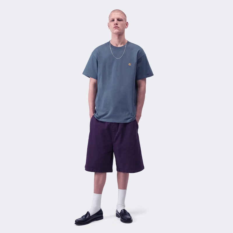 Carhartt WIP Tシャツ S/S CHASE T-SHIRT ブルー 着用画像 全身
