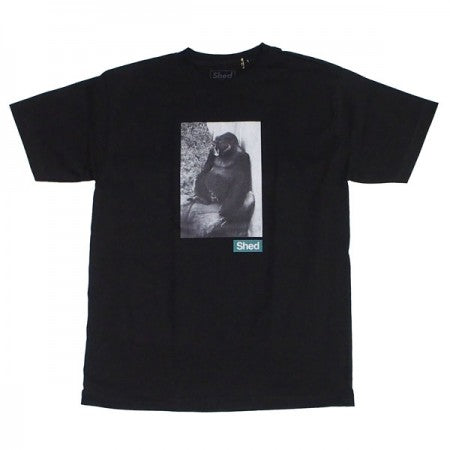 Shed Tシャツ "gorilla gorilla" (black)
