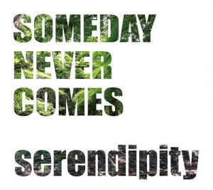 SOMEDAY NEVER COMES　"serendipity"