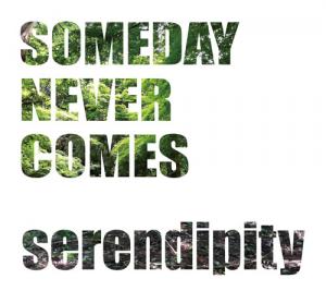 SOMEDAY NEVER COMES "serendipity"