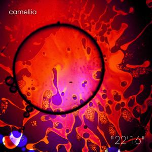 camellia "22'16"