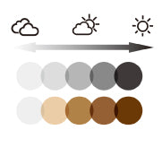 BLACK FLYS サングラス "FLY SLAMMER" (Black / Grey Photochromic Lens)【調光レンズ】