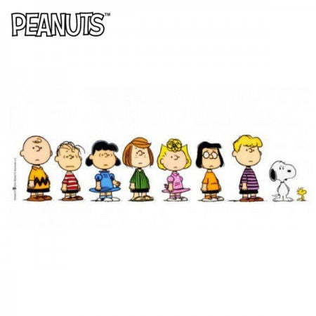 STANCE x PEANUTS ソックス "GIRL POWER" (Off White)