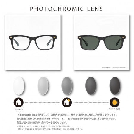 BLACK FLYS サングラス "FLY WHEELER" (Clear Blue / Grey Photochromic Lens)【調光レンズ】