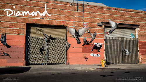 Diamond Supply Co. 取扱開始です。