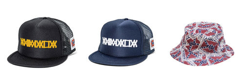 ANIMALIA　入荷！！！