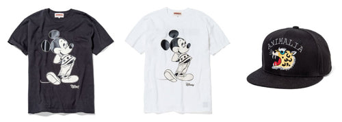 ANIMALIA　入荷！！！