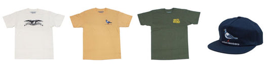 ANTI HERO　入荷！！！