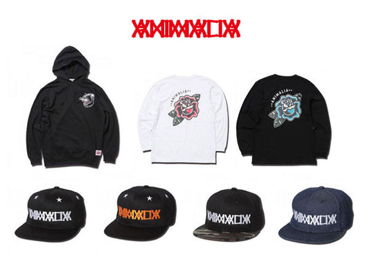 ANIMALIA　入荷！！！