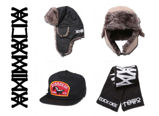 ANIMALIA　入荷！！！