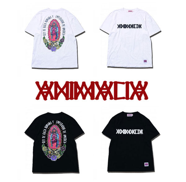 ANIMALIA　入荷！！！