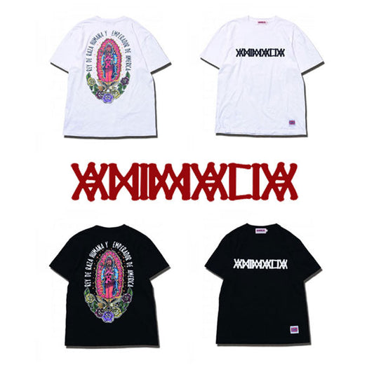 ANIMALIA　入荷！！！