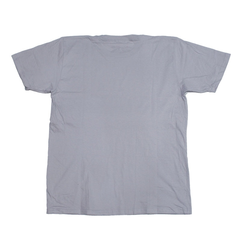 ANTI HERO Tシャツ CLEAN SAFETY TEE シルバー 商品画像 背面