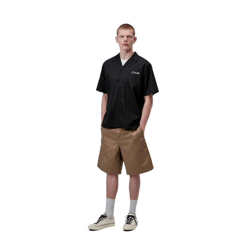 Carhartt WIP S/Sシャツ S/S DELRAY SHIRT ブラック 着用画像 全身
