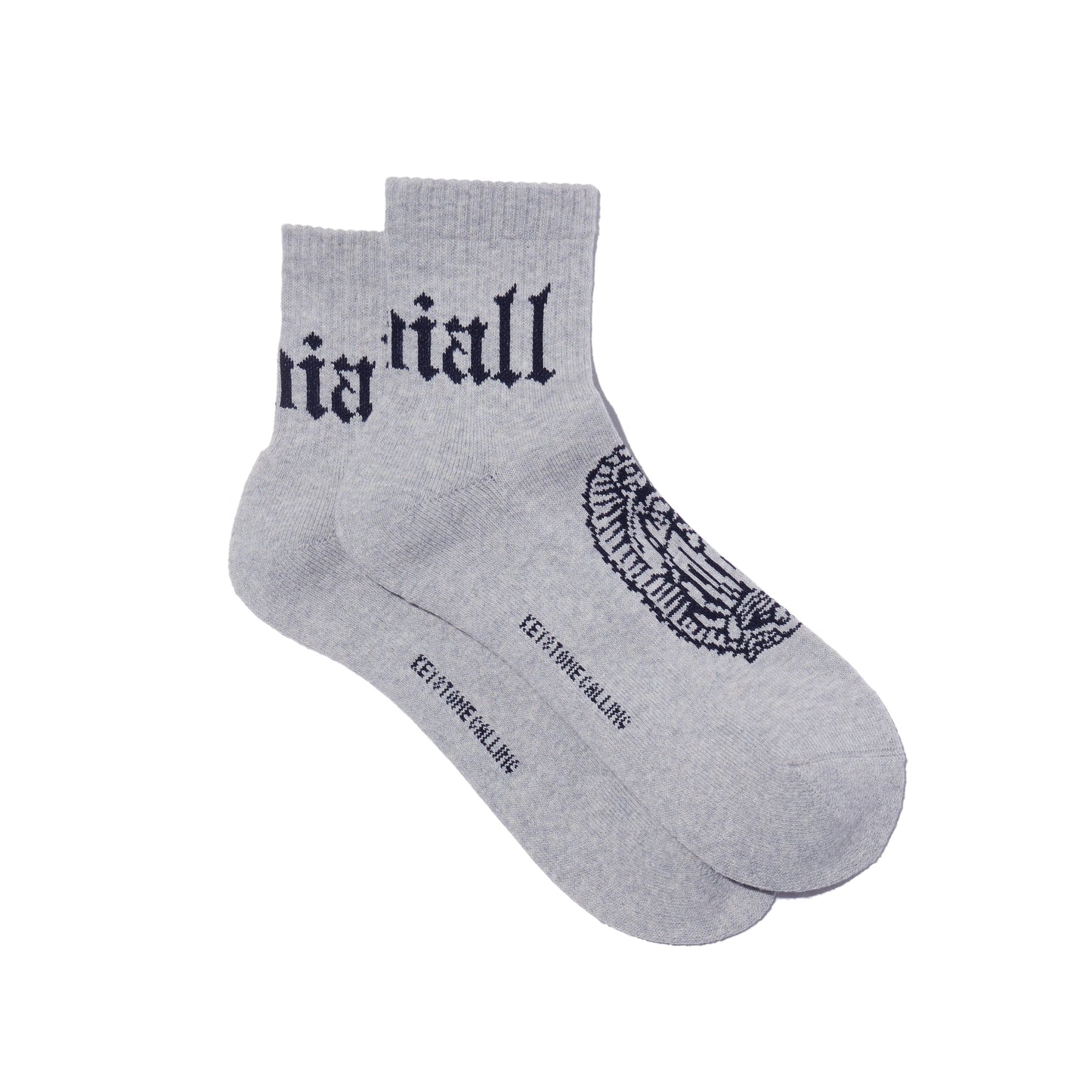 RADIALL ソックス CRADLE 1PAC SOX SHORT グレー