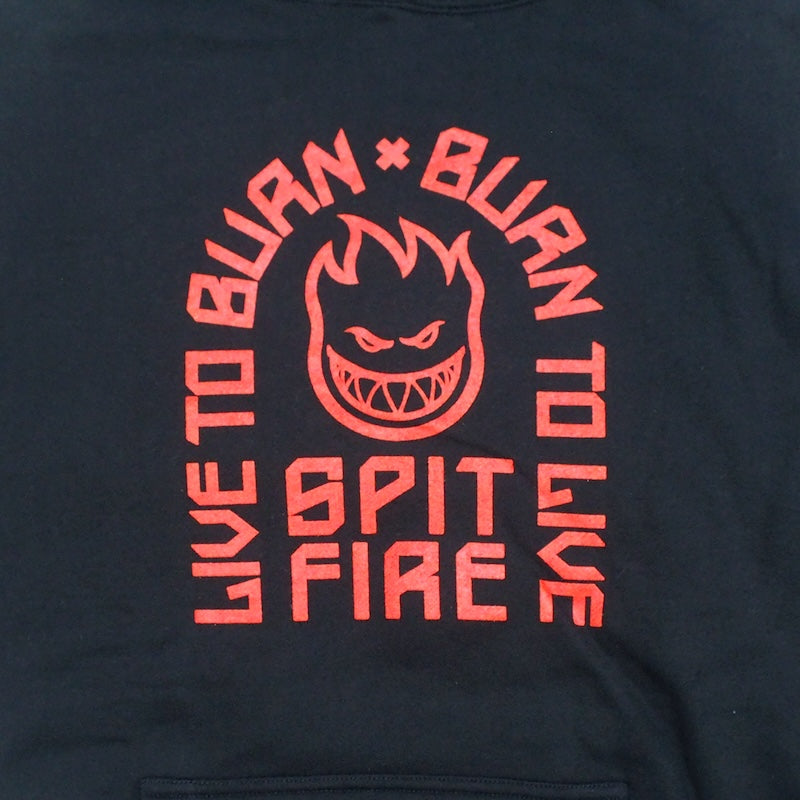 SPITFIRE パーカー LTB ARCH PULLOVER HOODIE (Black / Red) 商品画像 フロントプリント