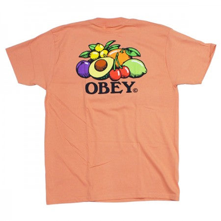 OBEY　Tシャツ　"OBEY BOWL OF FRUIT CLASSIC TEE"　(Citrus)