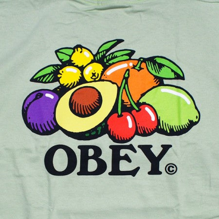 OBEY　Tシャツ　"OBEY BOWL OF FRUIT CLASSIC TEE"　(Cucumber)
