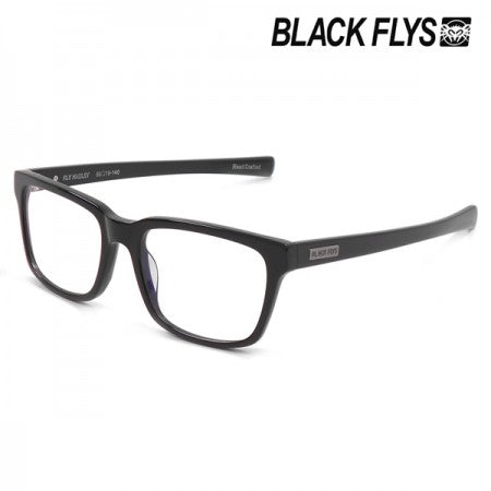 BLACK FLYS　サングラス　"FLY HADLEY"　(Black / Grey Photochromic Lens)【調光レンズ】