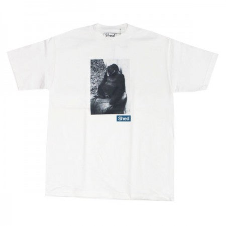 Shed Tシャツ "gorilla gorilla" (white)
