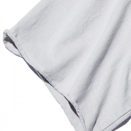 RADIALL　ハーフスリーフTシャツ　"FLAGS CREW NECK T-SHIRT S/S"　(Ice Gray)