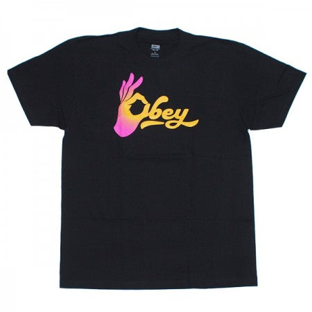 OBEY　Tシャツ　"OBEY OKAY CLASSIC TEE"　(Black)