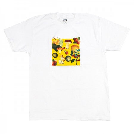 OBEY　Tシャツ　"FRUITS & MASHROOMS CLASSIC TEE"　(White)